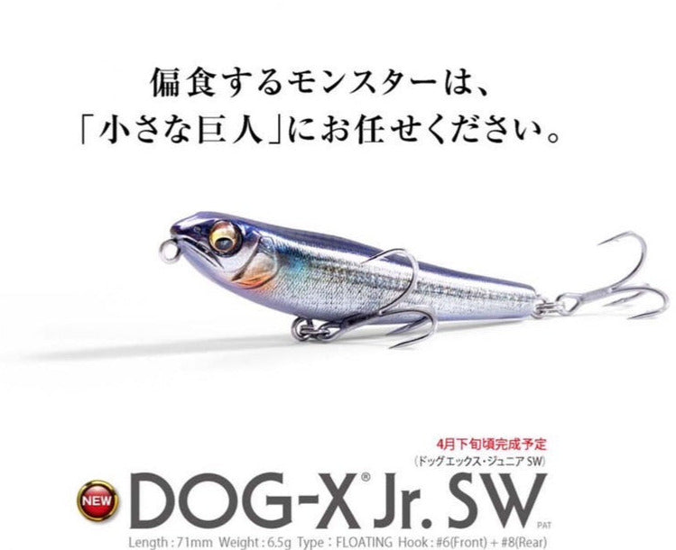 DIAMOND☆DOGS Cruising Show SWAN Amazon.com: Directo Beautiful swan Diamond Painting Kits for