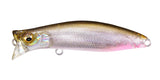 KIRINJI 70