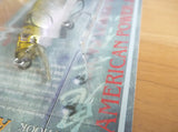 VISION ONETEN 110 America 2000