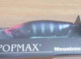 POPMAX Limited Color SP-C