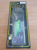 DEEP-X 100 2005