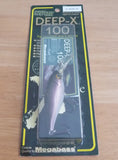 DEEP-X 100 2001