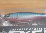 FX6.6 SW