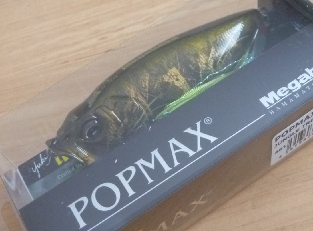 P2170903_1200x1200.jpg?v=