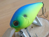 Imakatsu SCARE BROW DECEM
