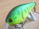 Imakatsu SCARE BROW SEVEN