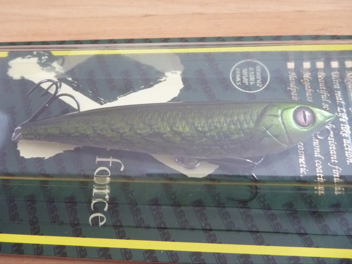 Megabass The 1st DOG-X Classic 2025 Limited Color – blueseabass