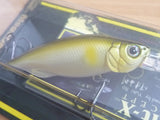 BAIT-X 2004