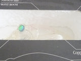 GRIFFON 6cc 2009 Lure Magazine Proto Type