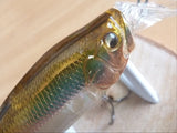 Used IxI SHAD TYPE-R