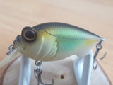 Unused BABY GRIFFON 2005