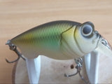 Unused BABY GRIFFON 2005