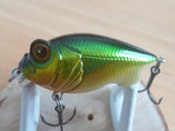 Unused BABY GRIFFON 2005