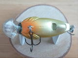 Unused BABY GRIFFON 2005