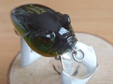 Unused BABY GRIFFON 2005