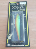DOG-X Jr. COAYU 2004