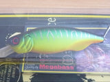 BAIT-X 2005