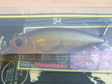 BAIT-X