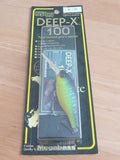 DEEP-X 100 2005