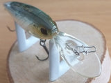 Used IS WASP 50
