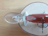 Unused IS WASP 55