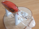 Unused IS WASP 55