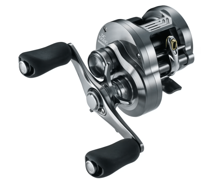 SHIMANO 26 CALCUTTA CONQUEST DC – blueseabass