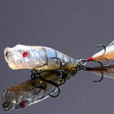 Respect Color REDEYE GRASS SHRIMP