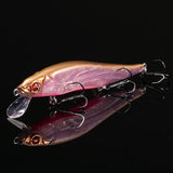 Respect Color GP GERBERA