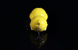 BACKDOOR PROJECT Pokemon KODUCK