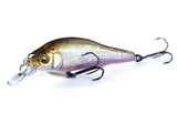 Megabass X-80 TRICK DARTER FINE ART