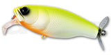 BUZZJET