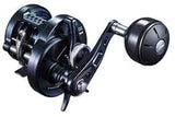 20 OCEA CONQUEST LIMITED 200 Series