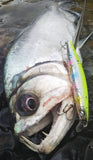 Shimano EXSENCE Silent Assassin 129F / 129S AR-C
