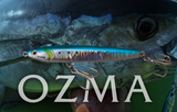 CB ONE OZMA 140 HW
