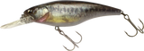 BULLBISON 400