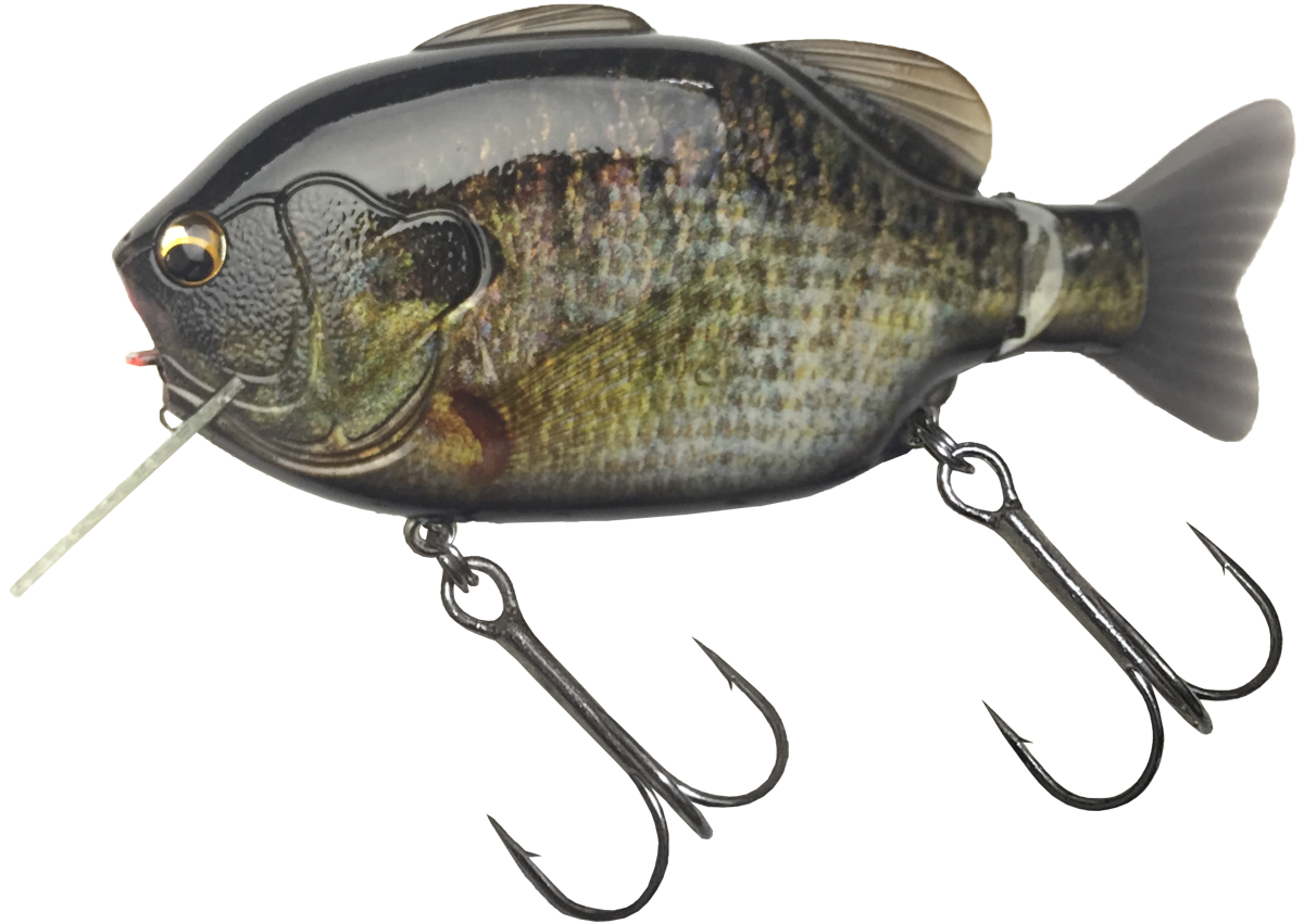 Imakatsu Kominami Gill Uchiwa – blueseabass