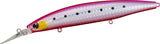 SHORELINE SHINER Z SETUPPER 125S-DR / 145S-DR
