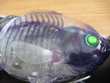 BULLSHOOTER 160 Slow Sinking Model 2017 Sendai Limited Color