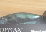 4 color set POPMAX 2023 Limited Color SP-C