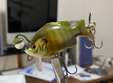 Chochin Gill