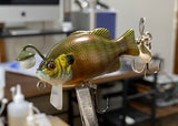 Chochin Gill