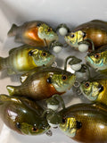 Chochin Gill