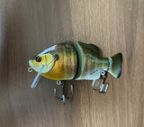 3 JOINTED GILL