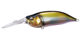 IxI SHAD TYPE-3