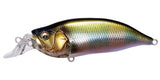 IxI SHAD TYPE-R
