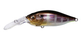 DEEP-X 100 LBO