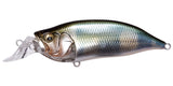 IxI SHAD TYPE-R