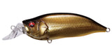 IxI SHAD TYPE-R