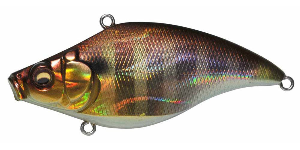 Megabass VIBRATION-X RATTLE IN blueseabass Megabass VIBRATION-X RATTLE IN blueseabass